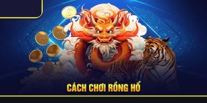 cách chơi rồng hổ