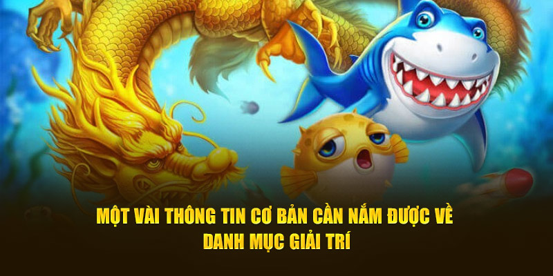 Một vài thông tin cơ bản cần nắm được về danh mục giải trí